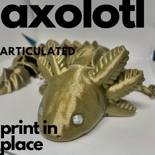 ARTICULATED AXOLOTL by sunset3d | Download free STL model | Printables.com