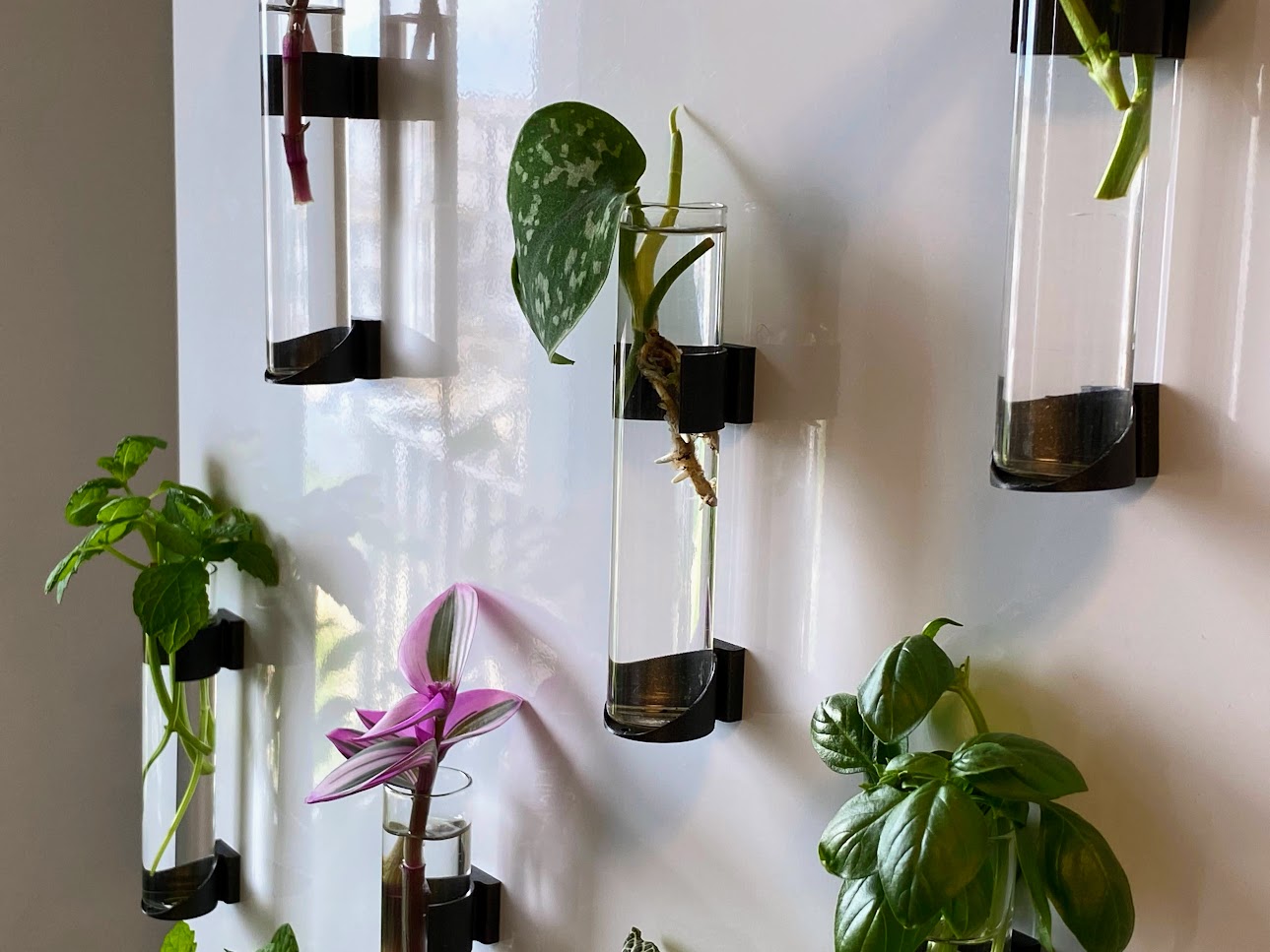 Fridge Farm - magnetic plant propagator