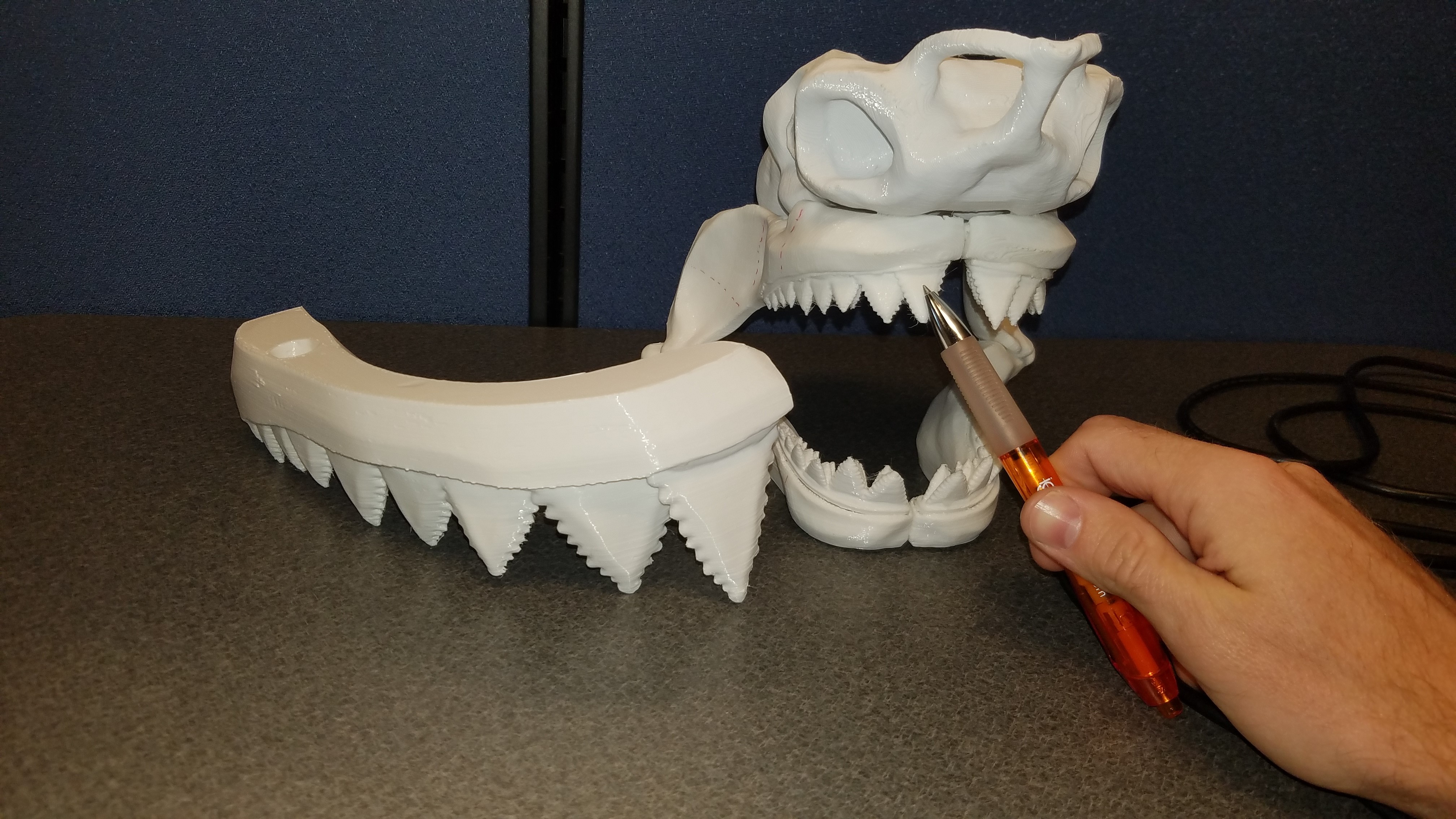 Great White Shark Scaleable — miniatura 29