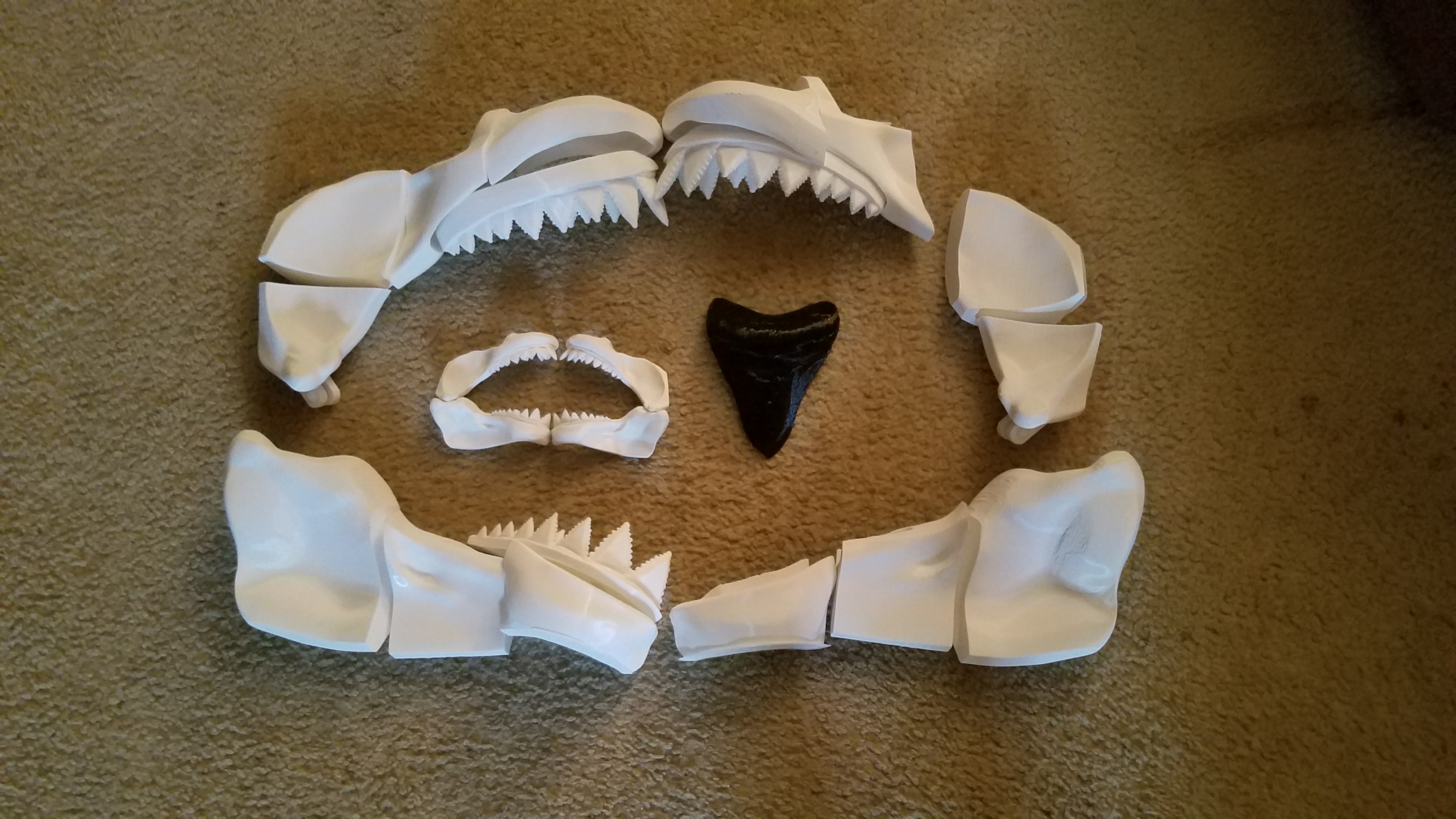 Great White Shark Scaleable — miniatura 33
