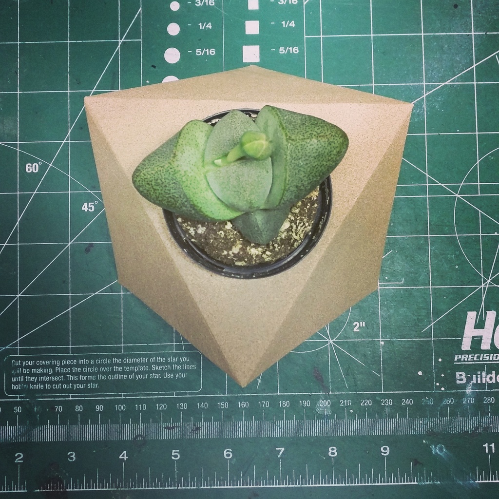 Miniatura 5 do modelo 3D Geometric Planter