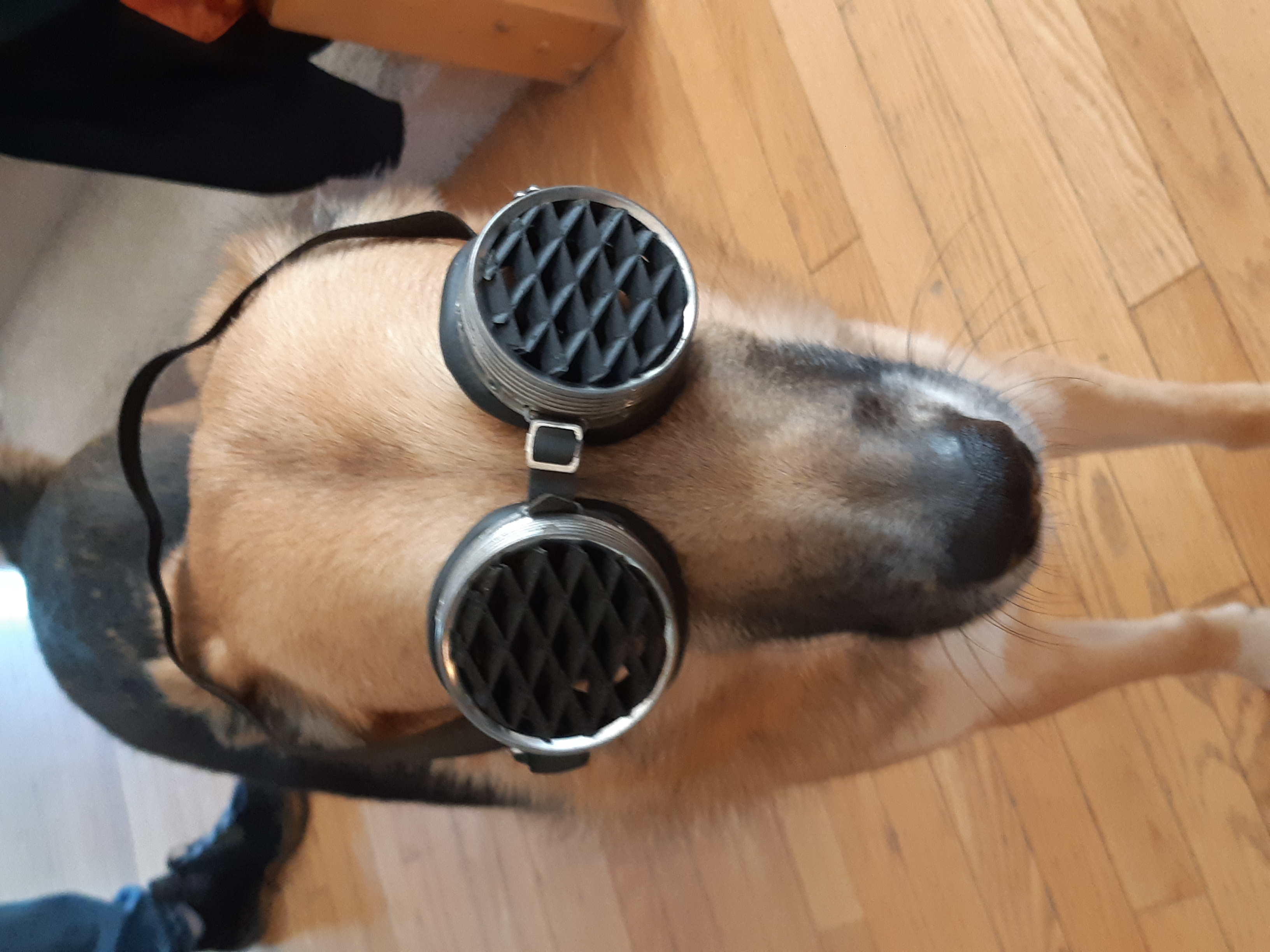 Grill Lenses for Cosplay (50mm)