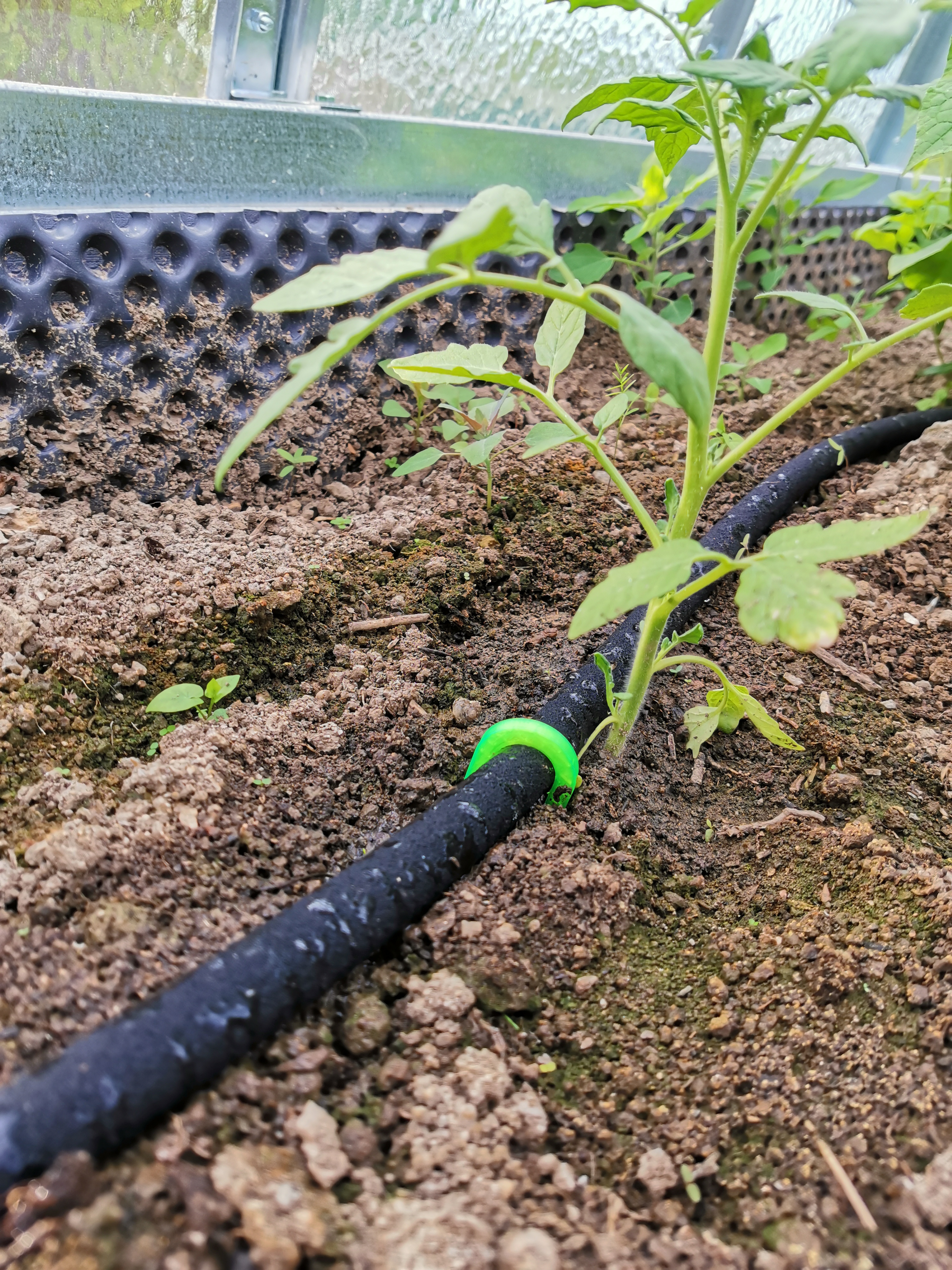 Hook - Gardena watering/irrigation system