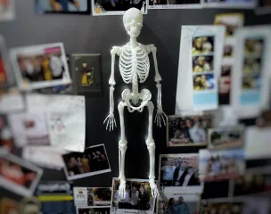 Skeleton [Refrigerator Magnet]