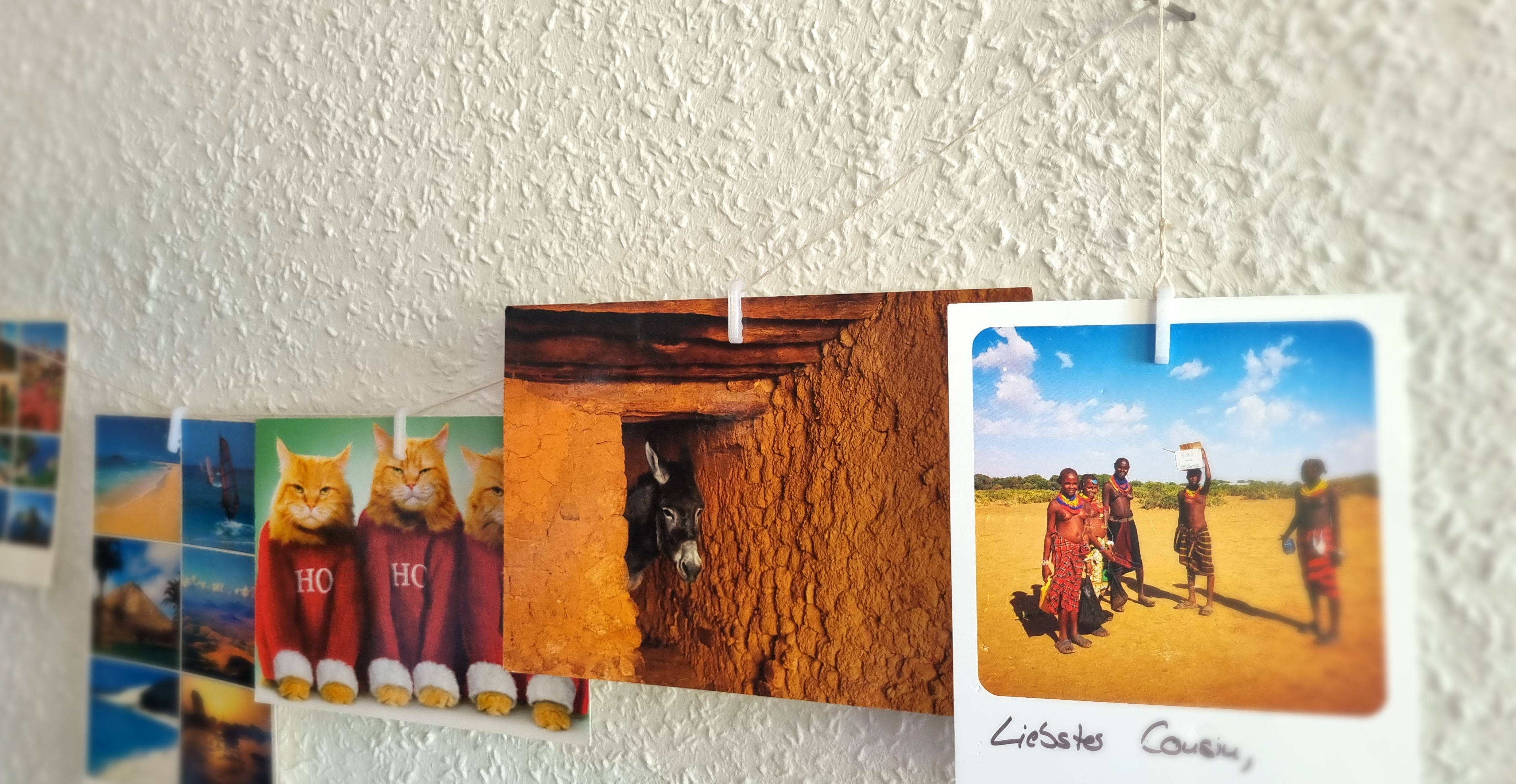 Photo / Postcard Clip