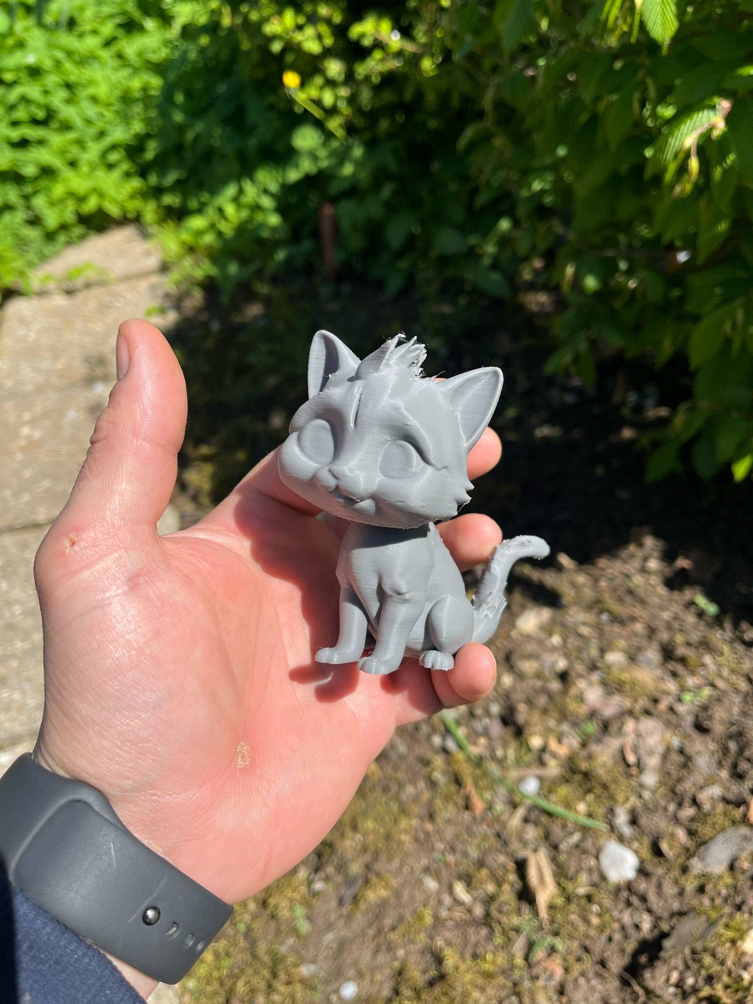Beautiful cute kitty — thumbnail 4
