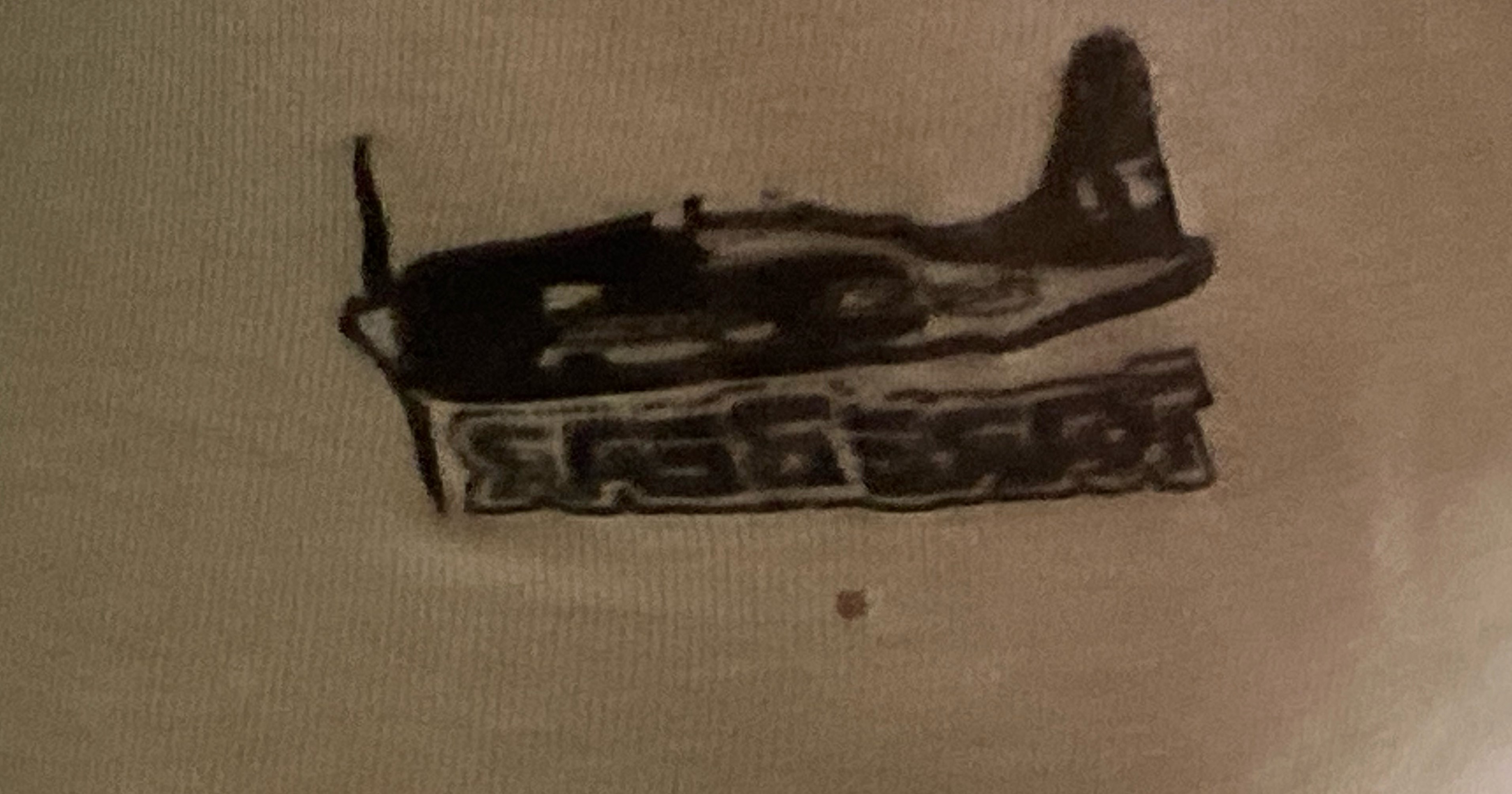 Rare Bear T-shirt