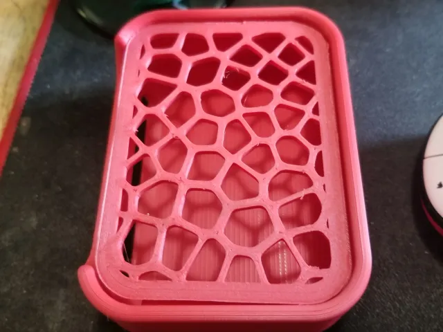 Voronoi Soap Dish