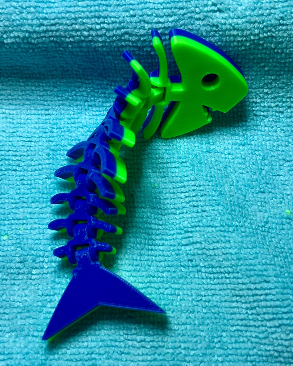Two color articulated fish by Jake Download free STL model