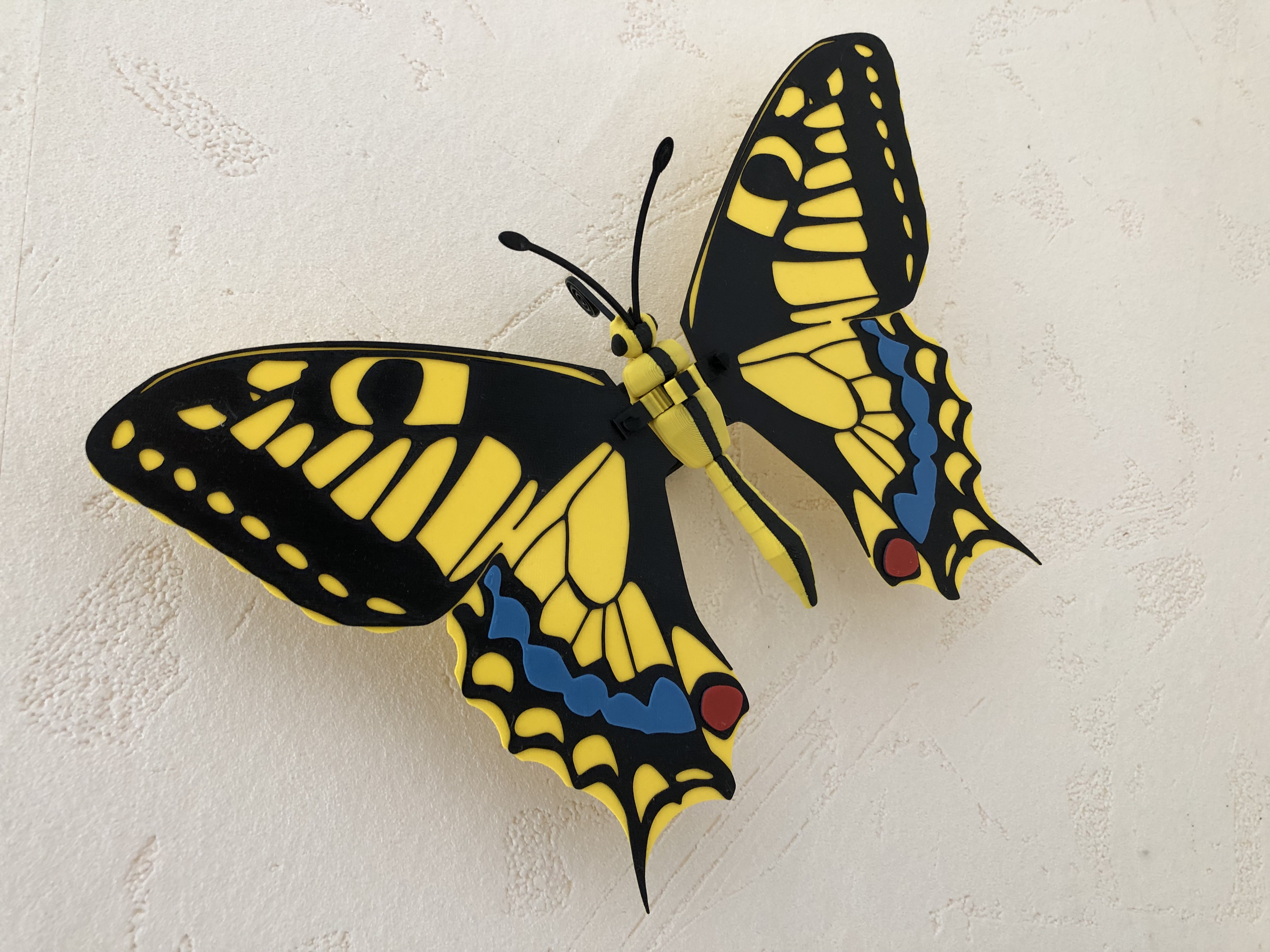 Articulated Butterfly Machaon