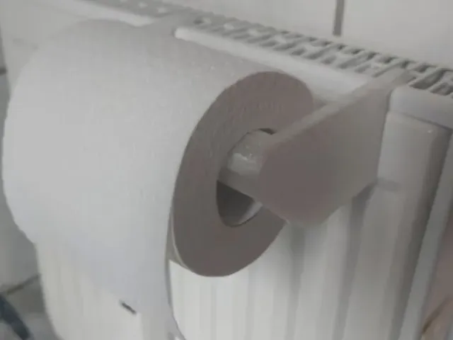 Toilet paper holder for radiator