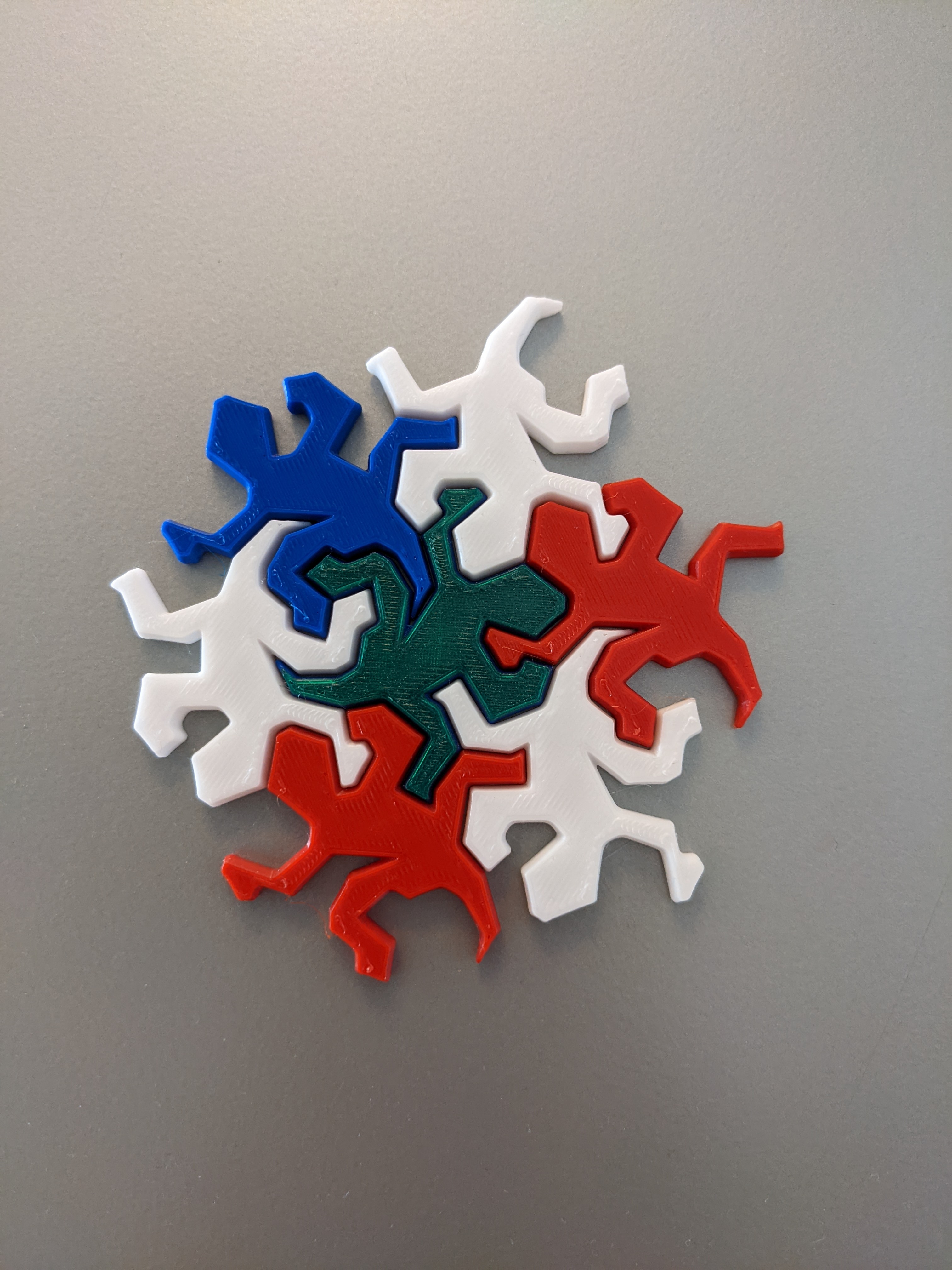 Escher Lizard Fridge Magnets