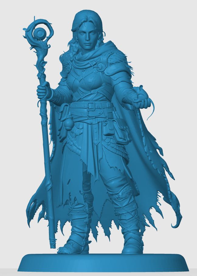 Human Druid — thumbnail 4