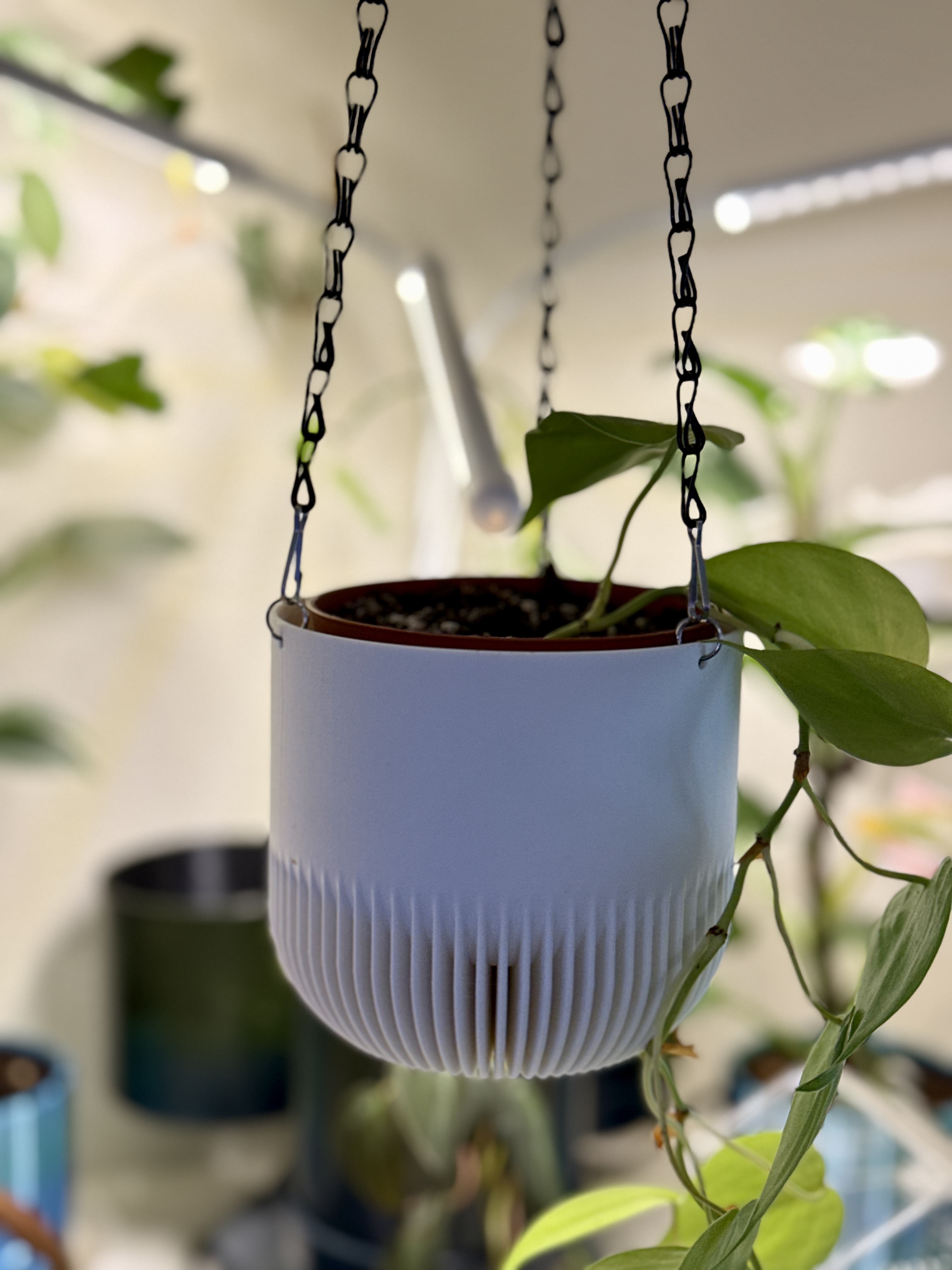 Modern Plant Pot Multiple Styles