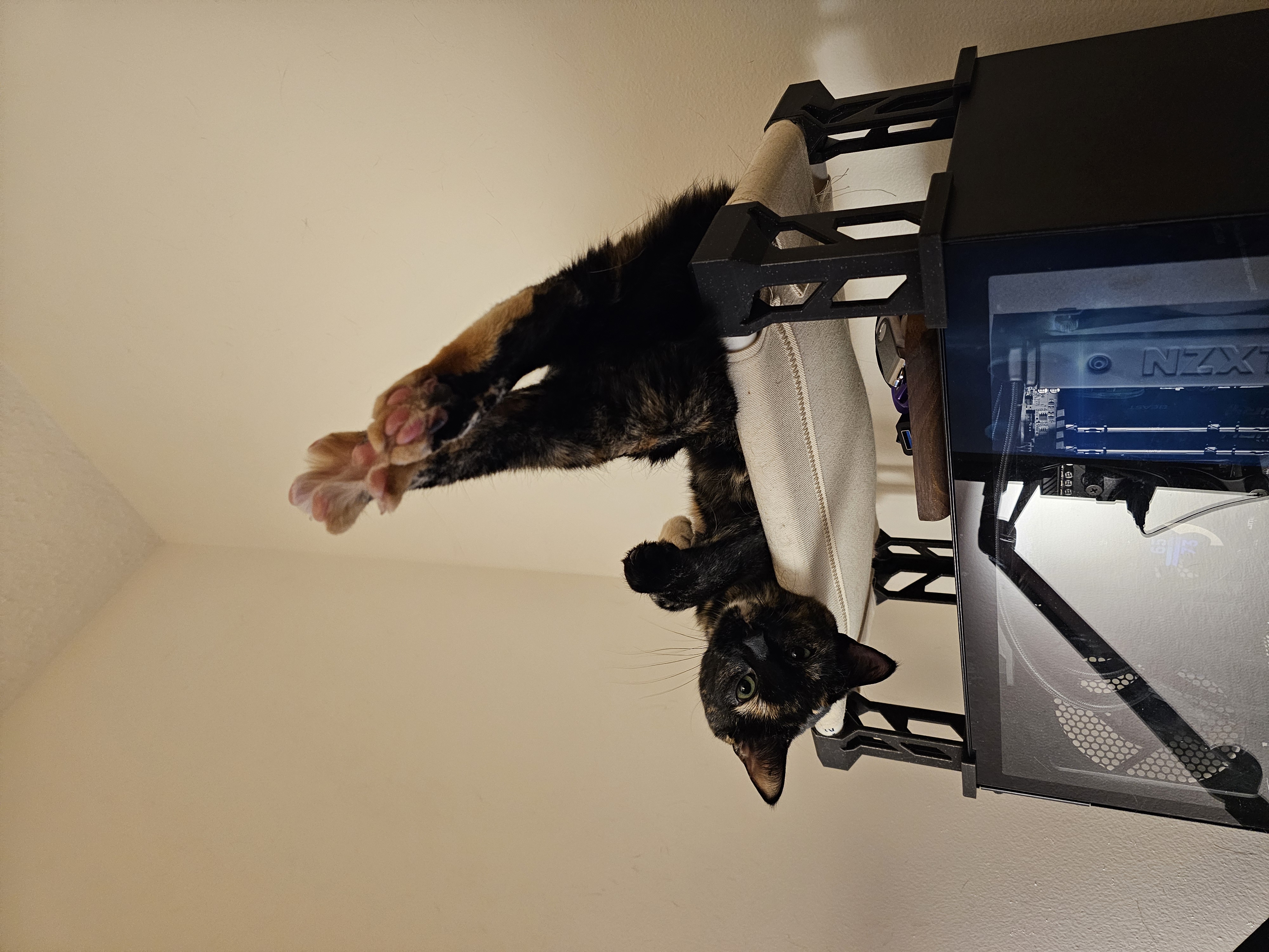 Cat bed brackets