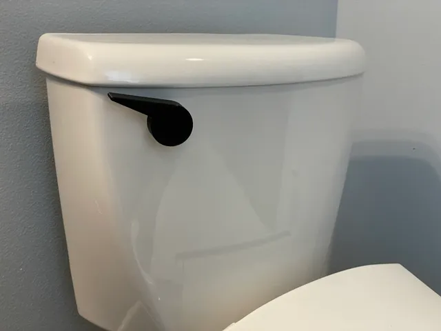 Toilet Handle