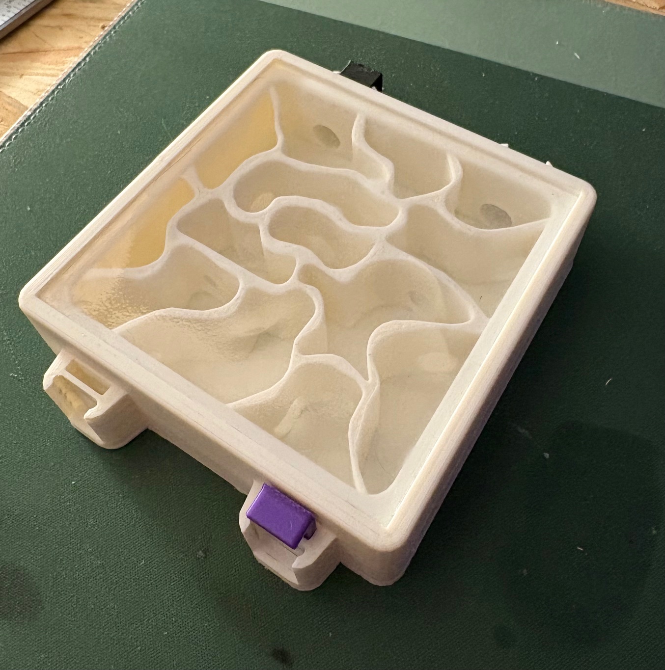 Fourmilière Modulable