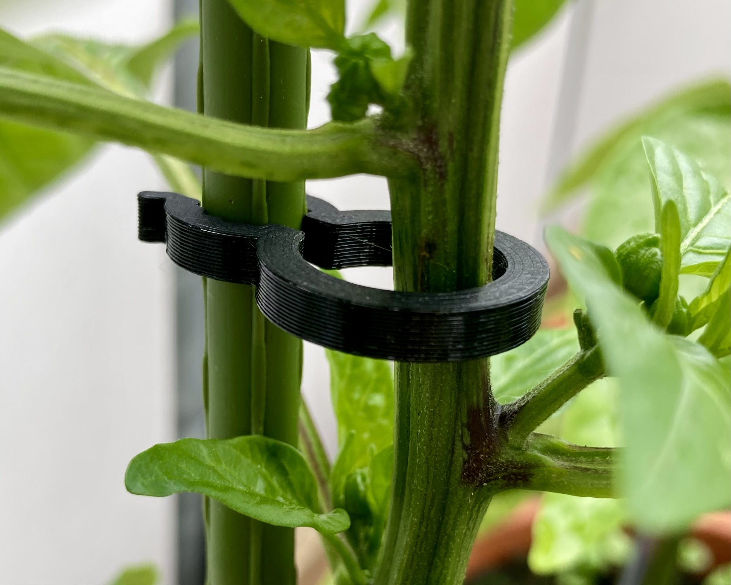 Plant Clip