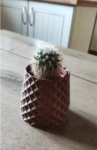 Pot à Cactus