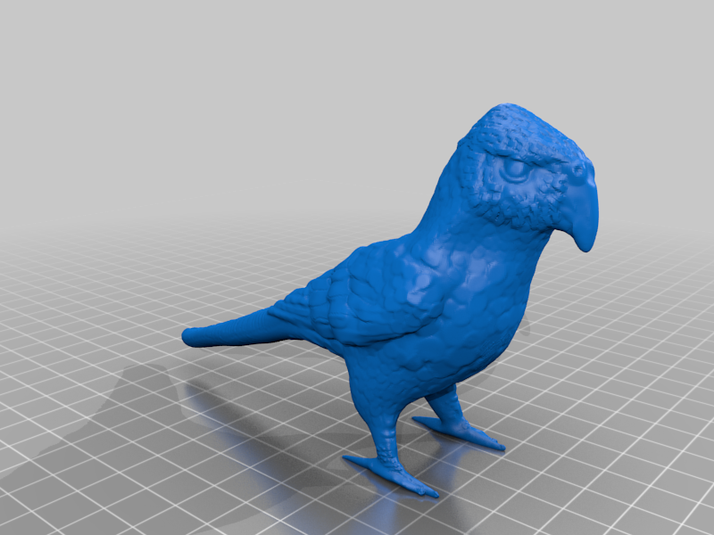 Parrot Figure by DragonArtist15 | Download free STL model | Printables.com