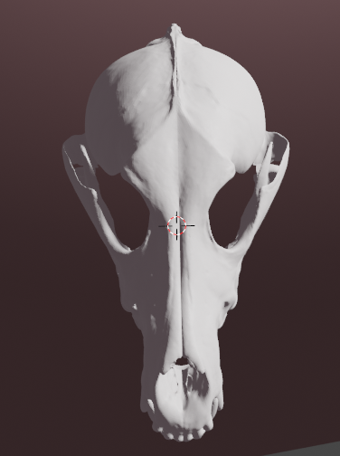 Miniatura 3 do modelo 3D Grey wolf skull mask