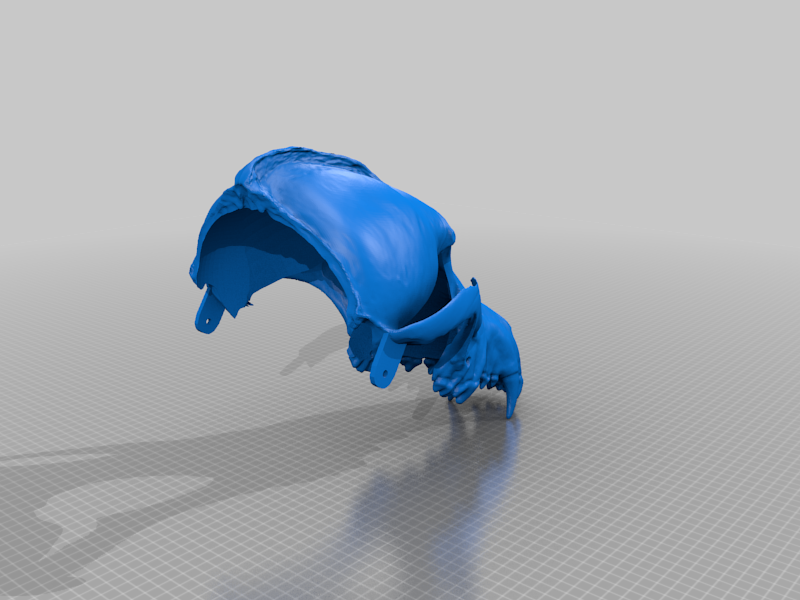 Miniatura 15 do modelo 3D Grey wolf skull mask