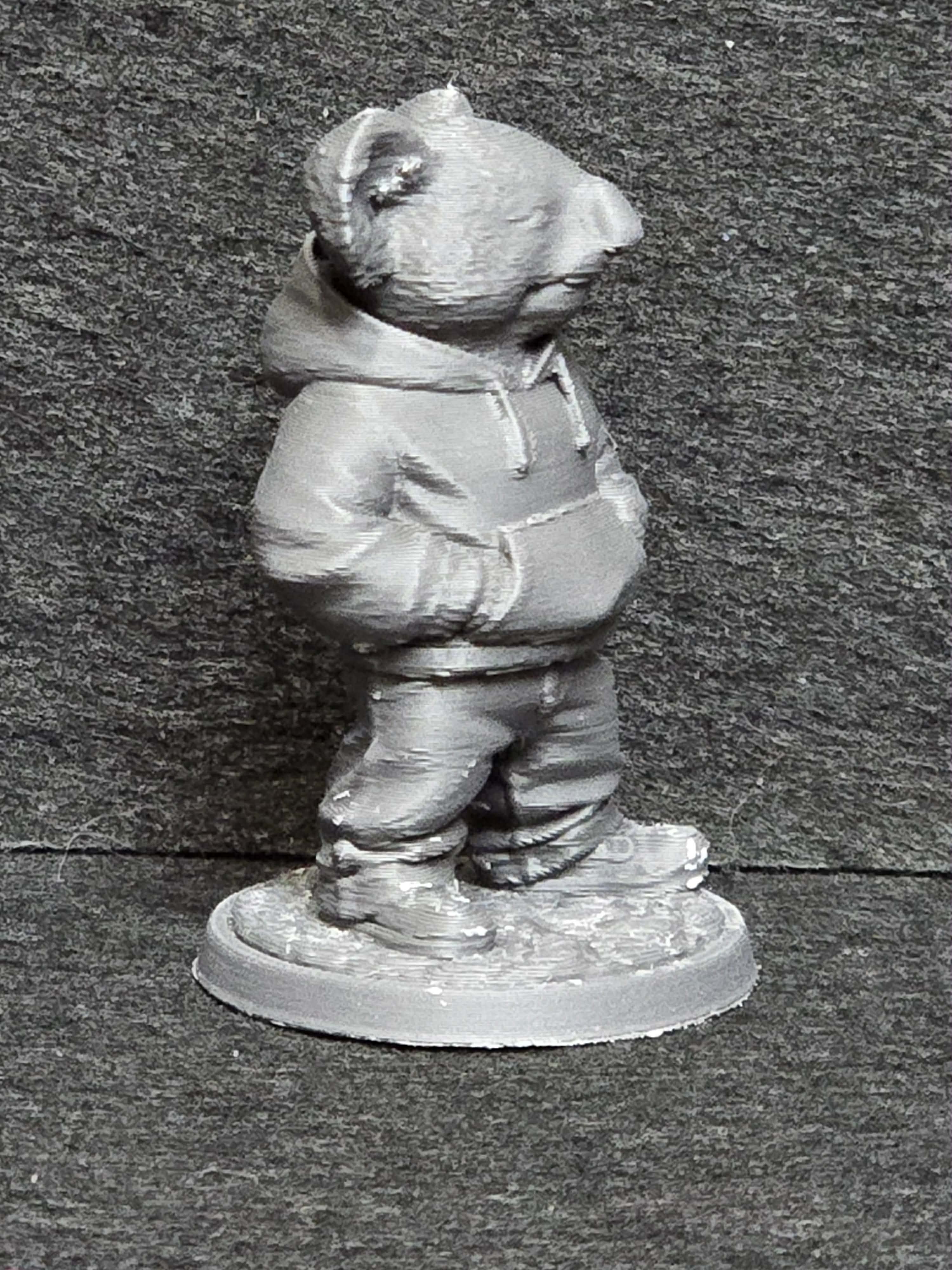 Casual Koala — thumbnail 3