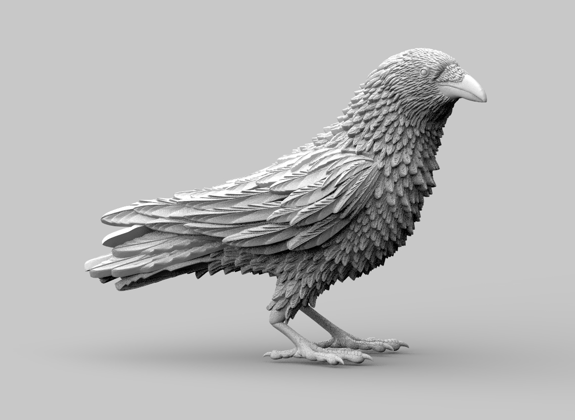 bird