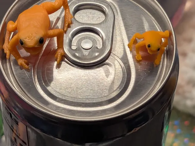 Pumpkin Toadlet (small, screaming)