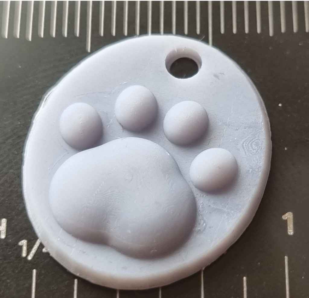 Cat / dog Paw Pendent / keyring