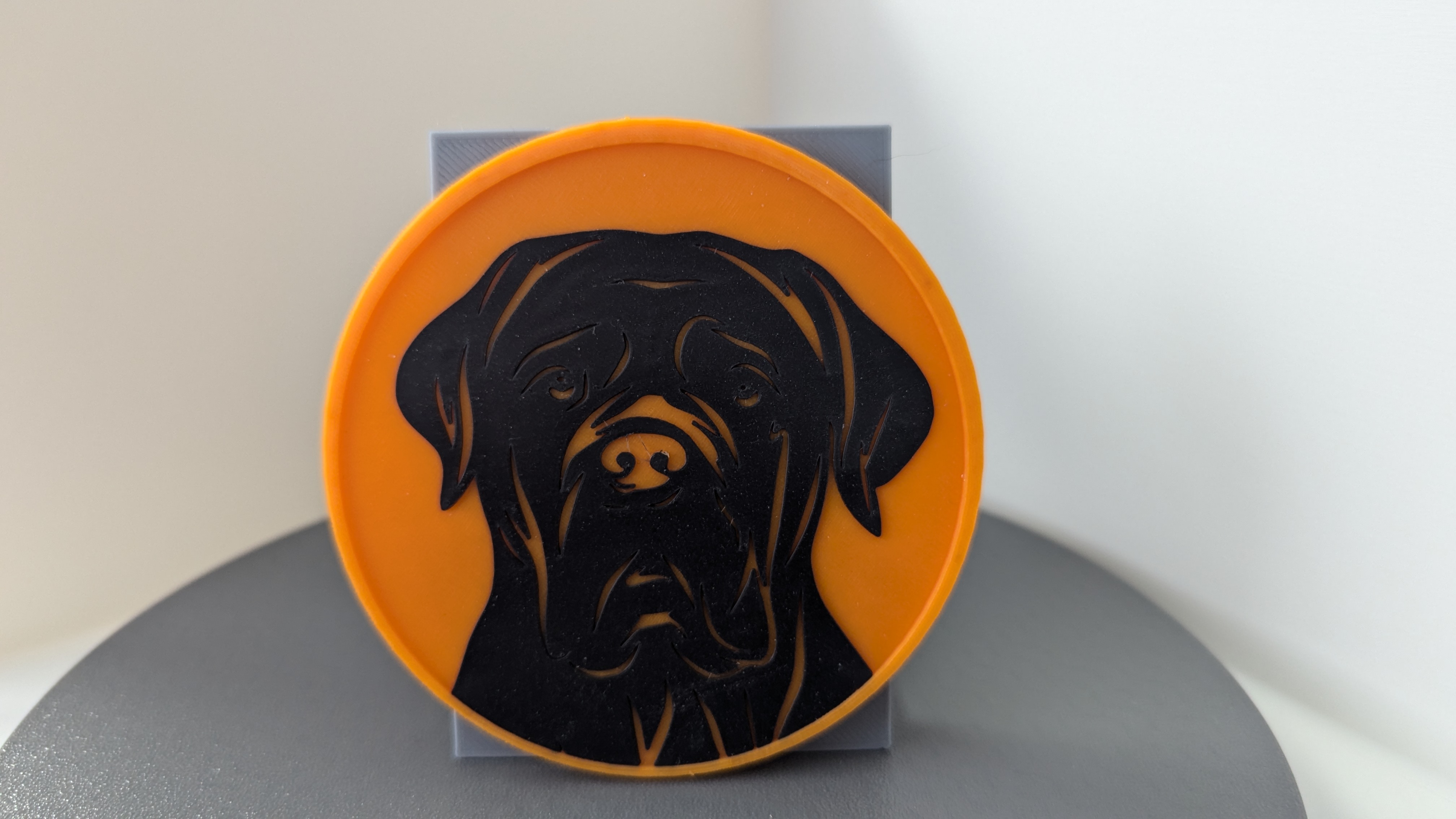 Cane Corso Getränkeuntersetzer