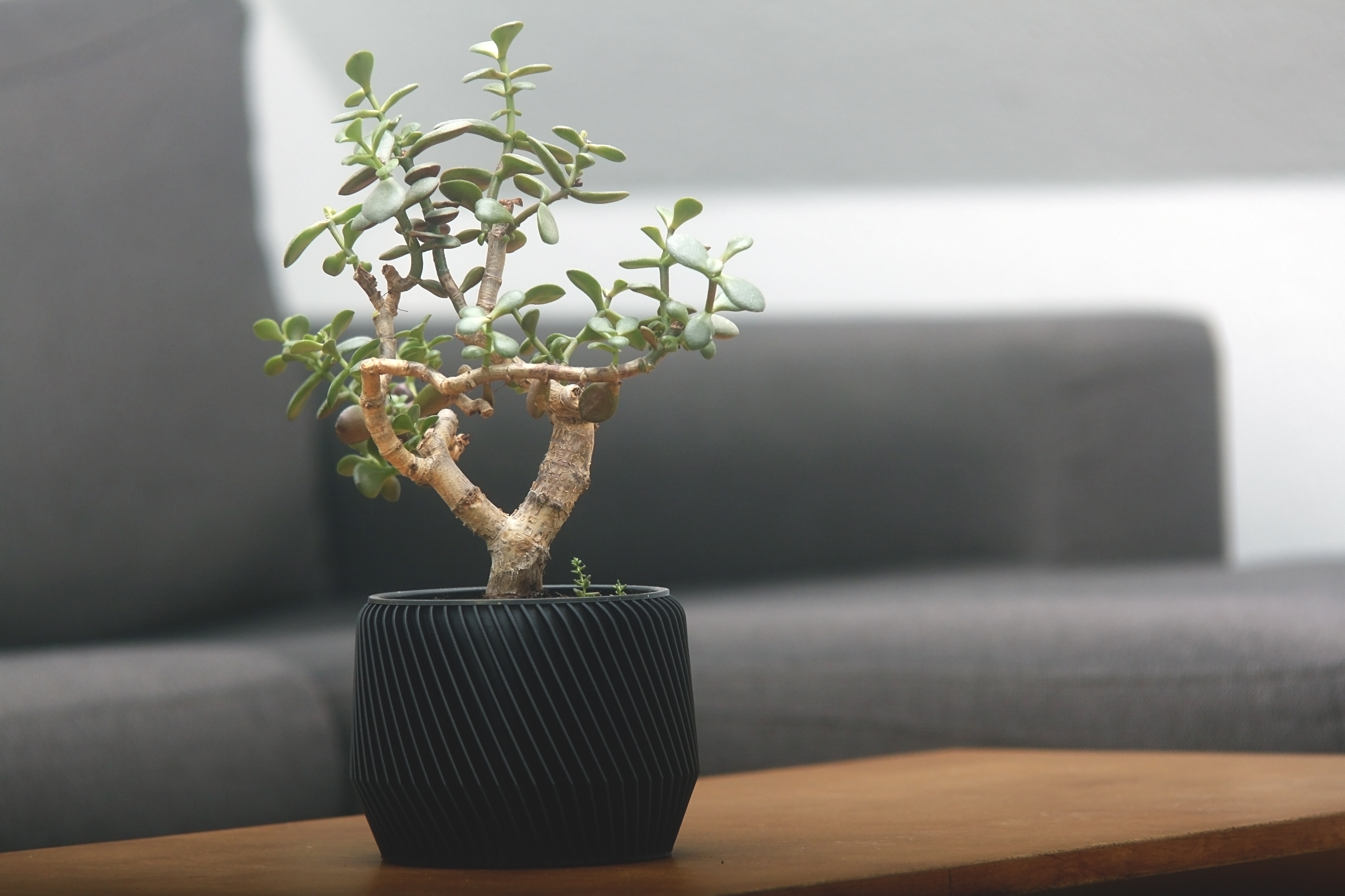 Miniatura 2 do modelo 3D Geometric Planter 3