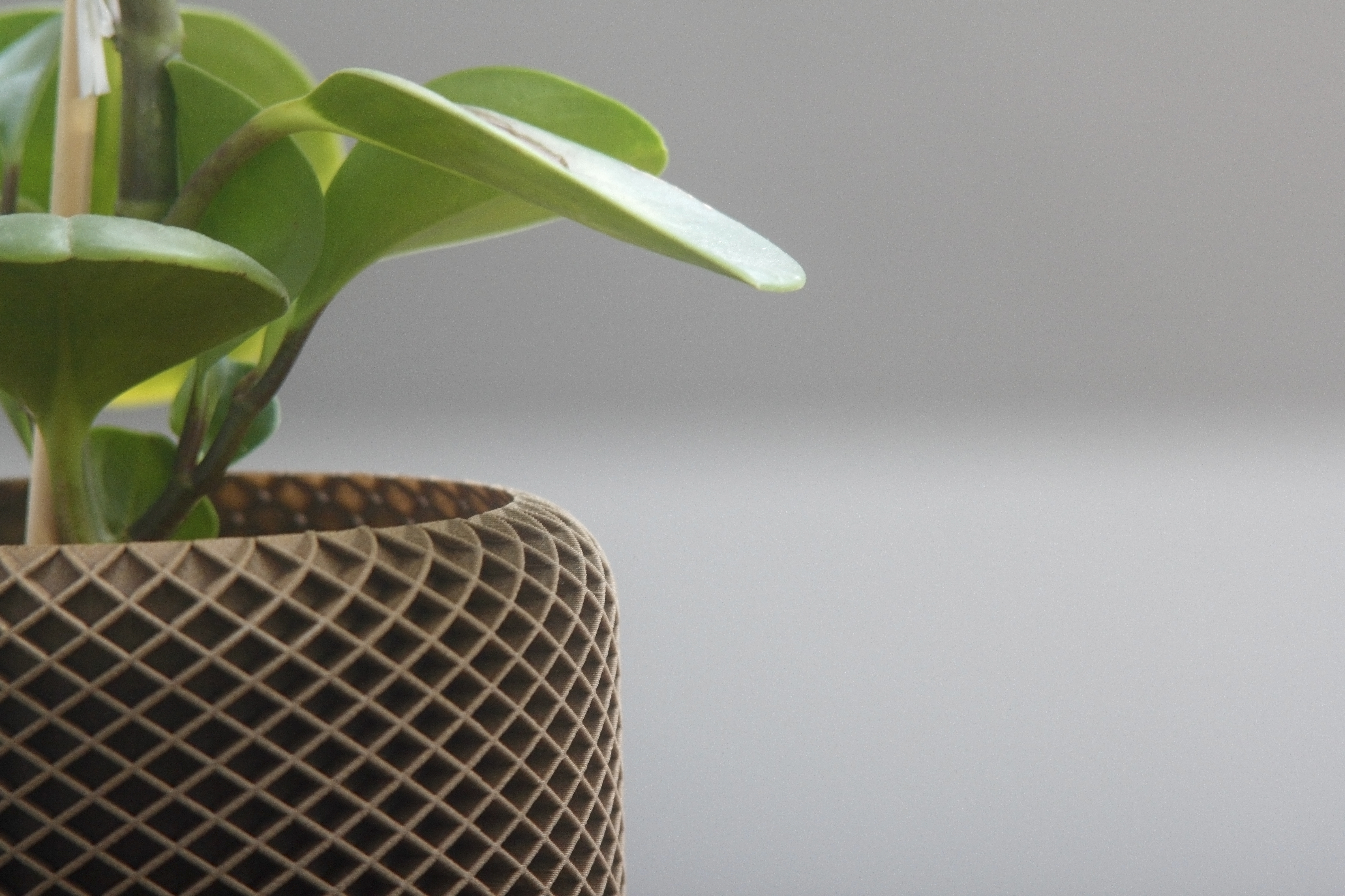 Geometric Planter 1
