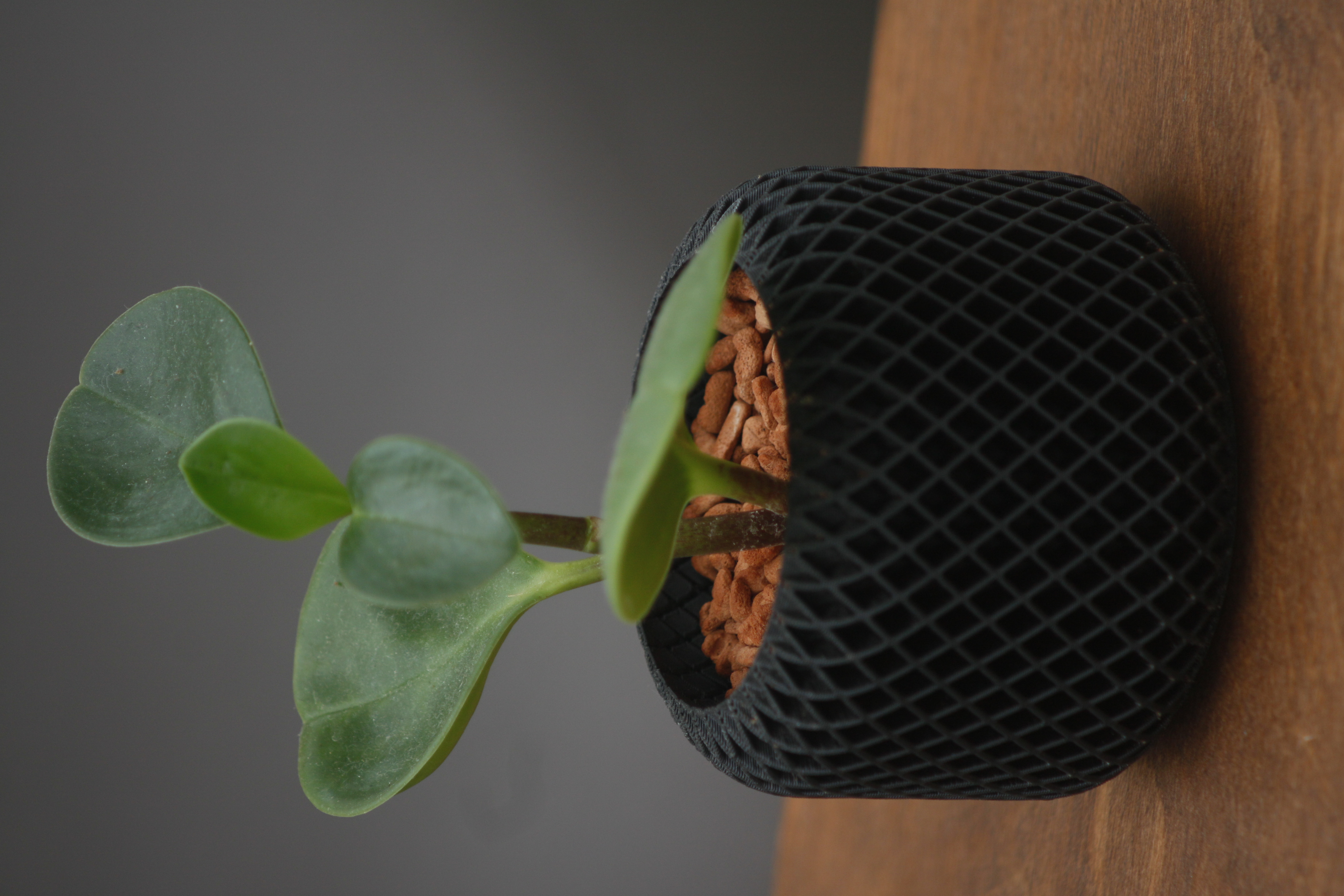 Miniatura 2 do modelo 3D Small Geometric Planter