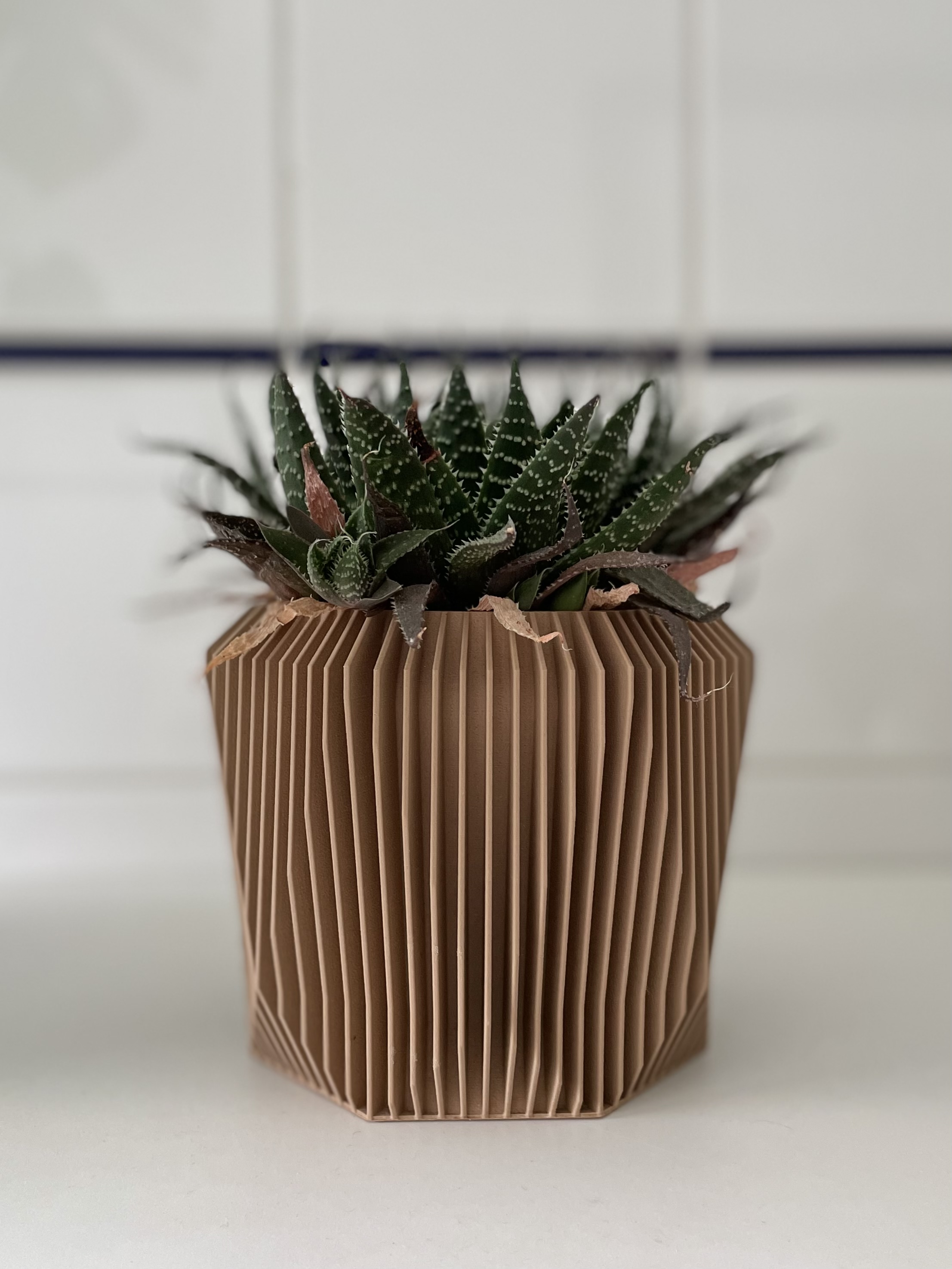 Geometric Planter 2