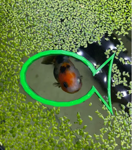 Floating Fish Food Feeder