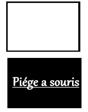 essai de piege a souris a bascule