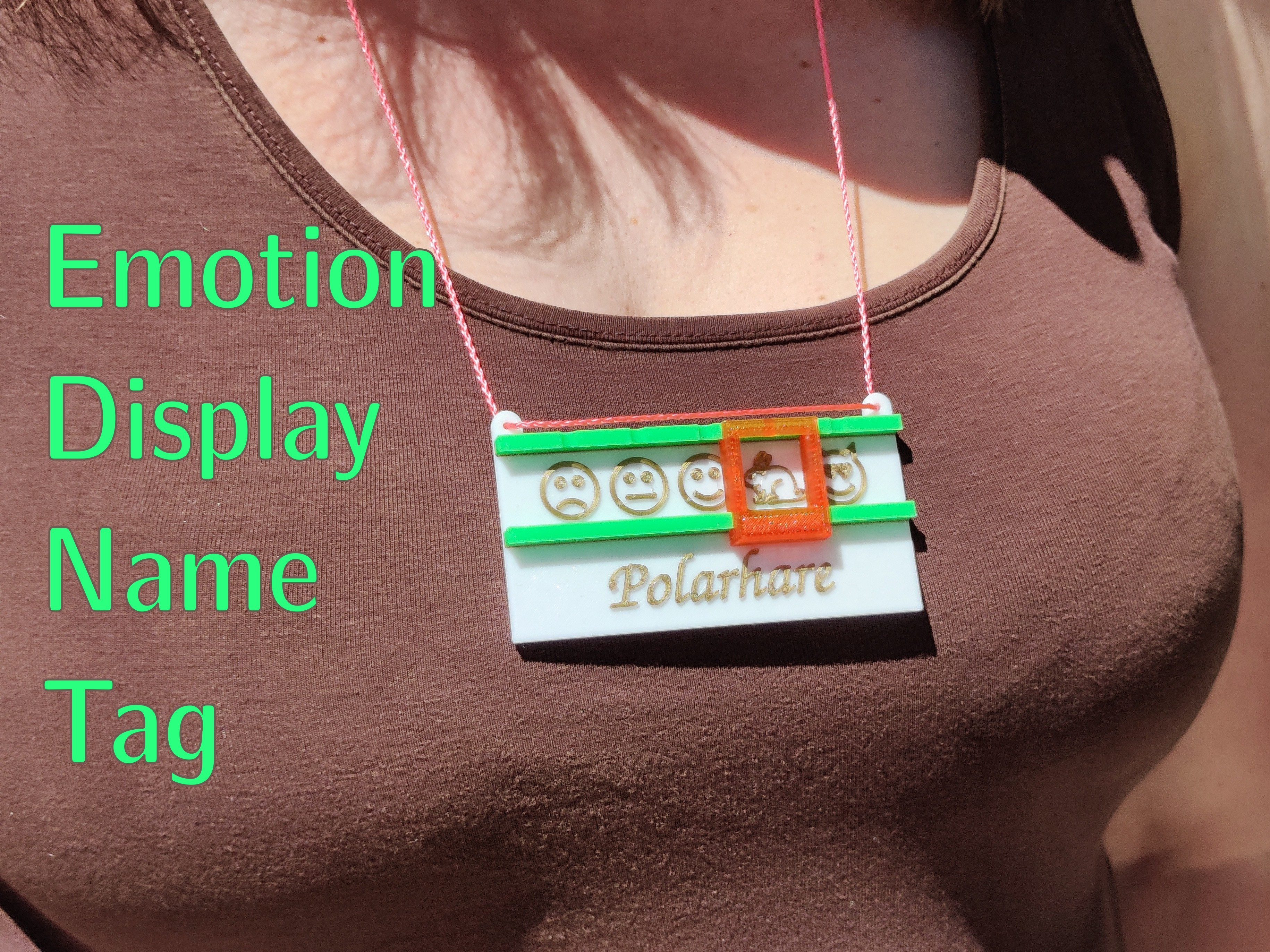 Emotion Display Name Tag