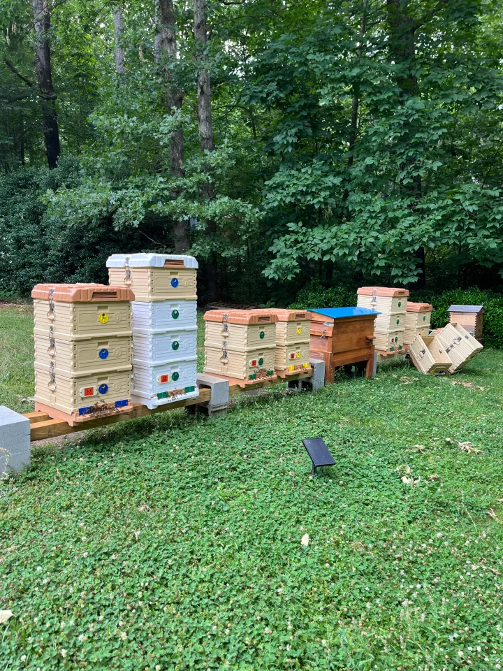Codes For The Hive