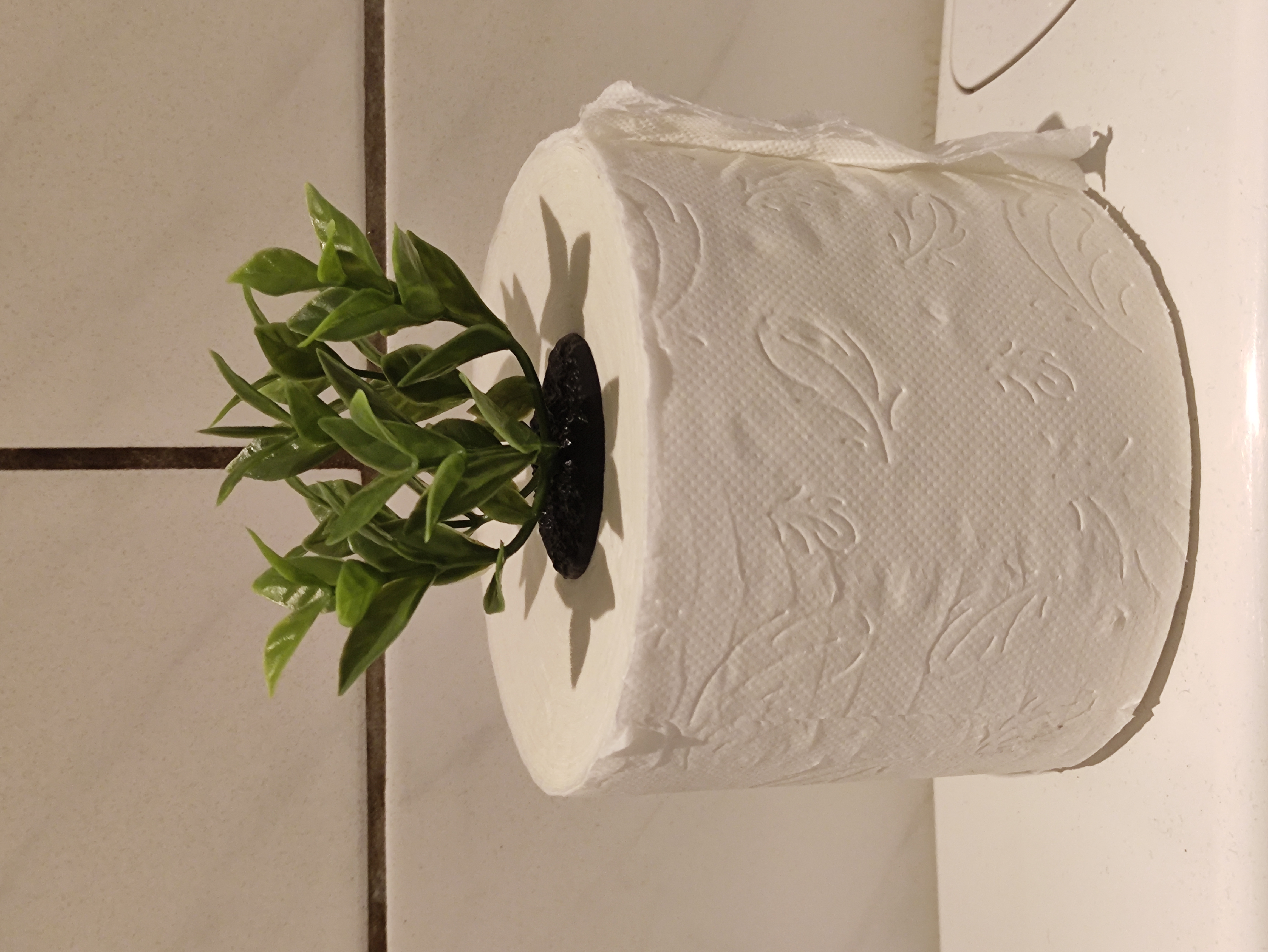 Toiletpaper Plant Pot