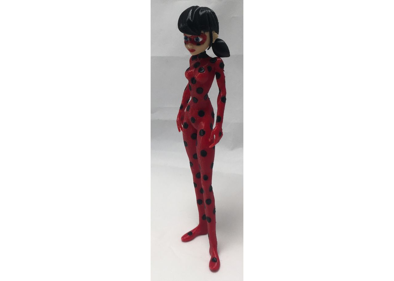 Miraculous Ladybug and Cat noir - Download Free 3D model by