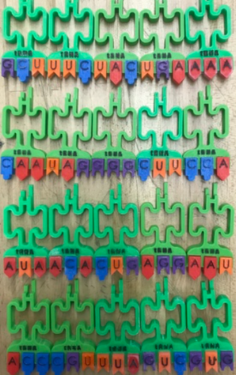 Translation Modeling Activity — miniatura 3