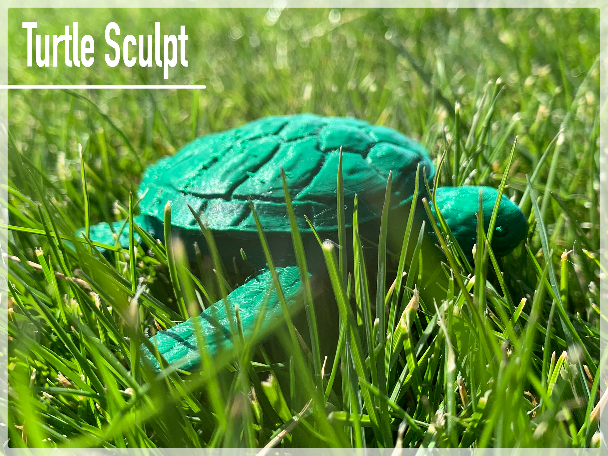 Sea Turtle Sculpts