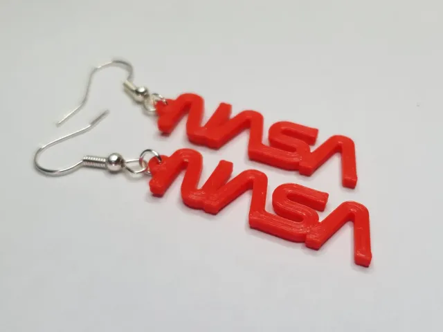 NASA Earrings - Worm Logo