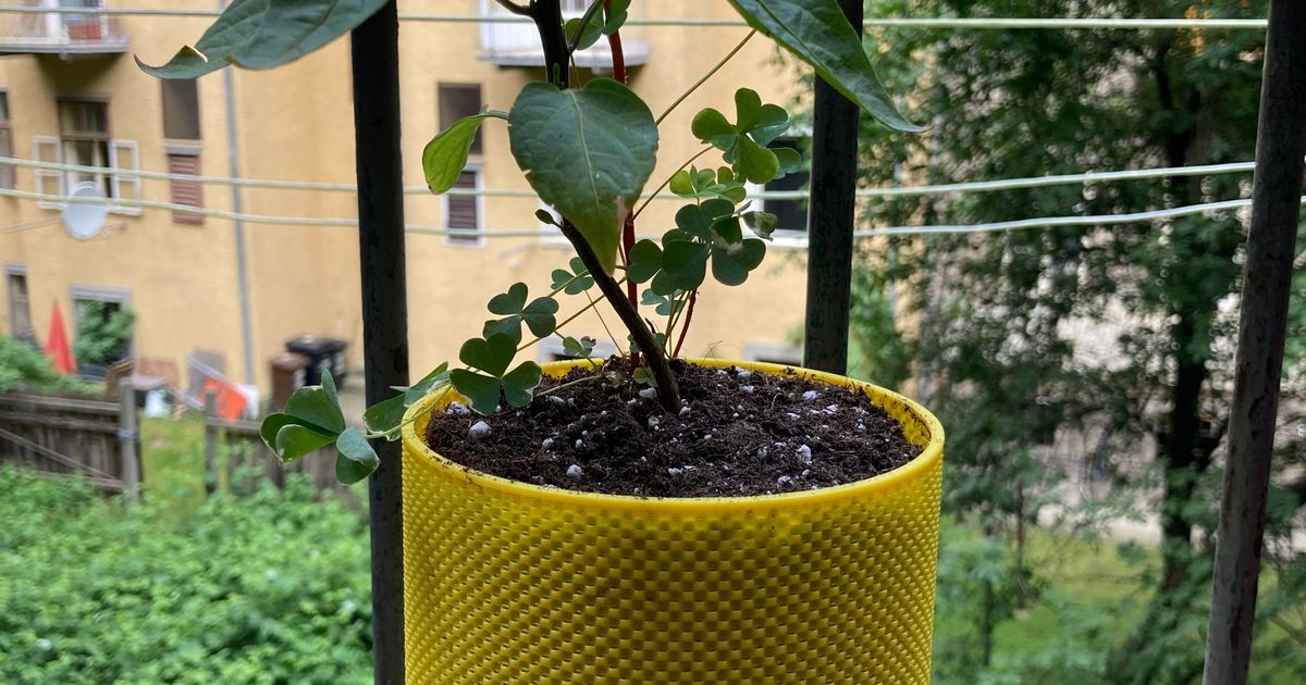 Air-Pot Growing Containers for Plants