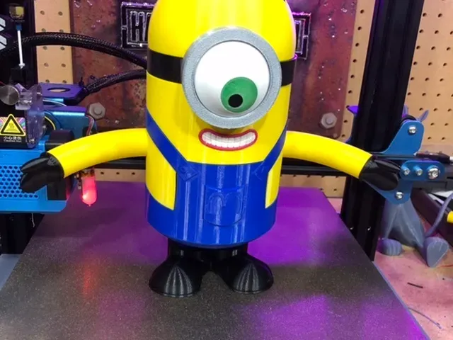 Minion Stuart Multi Color