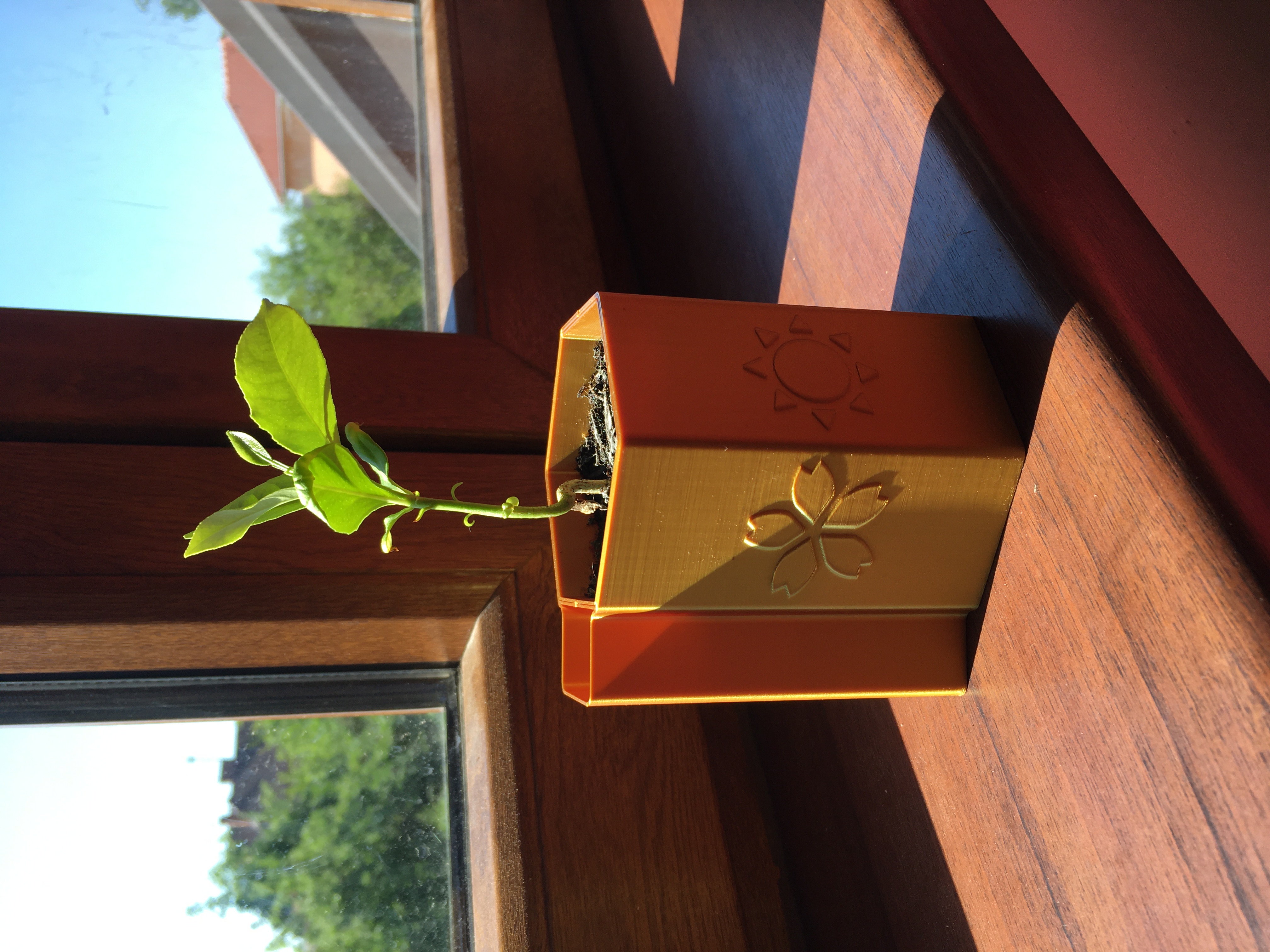 Self-watering planter with seasons - vase mode