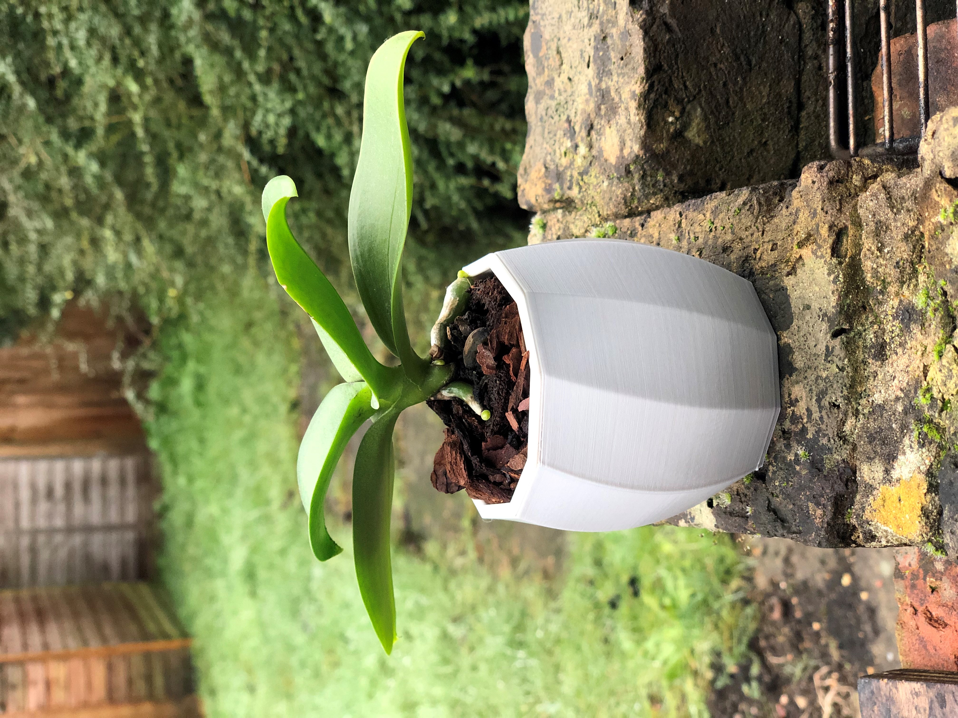 Twisted Pot