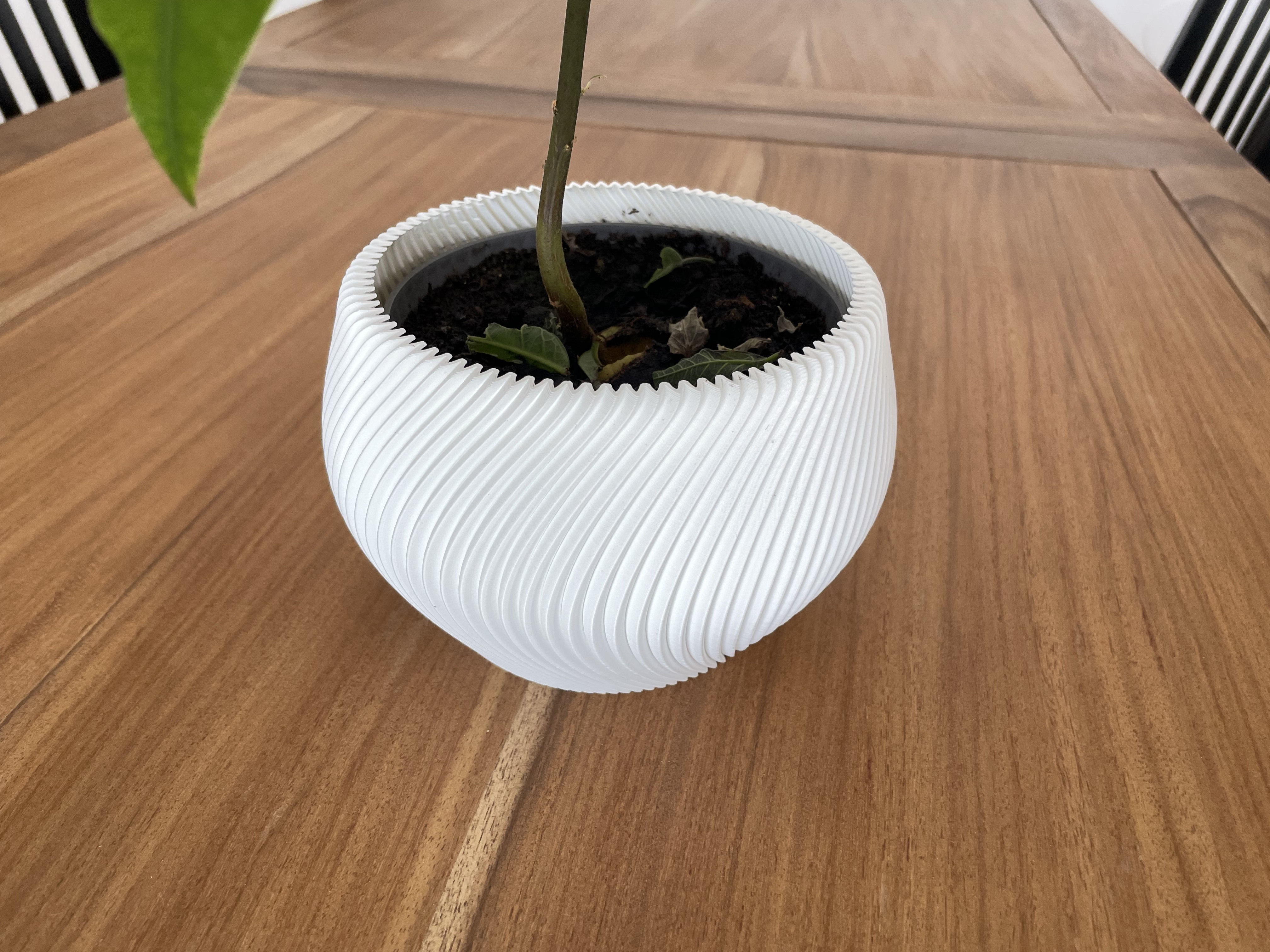 Twisted plant pot