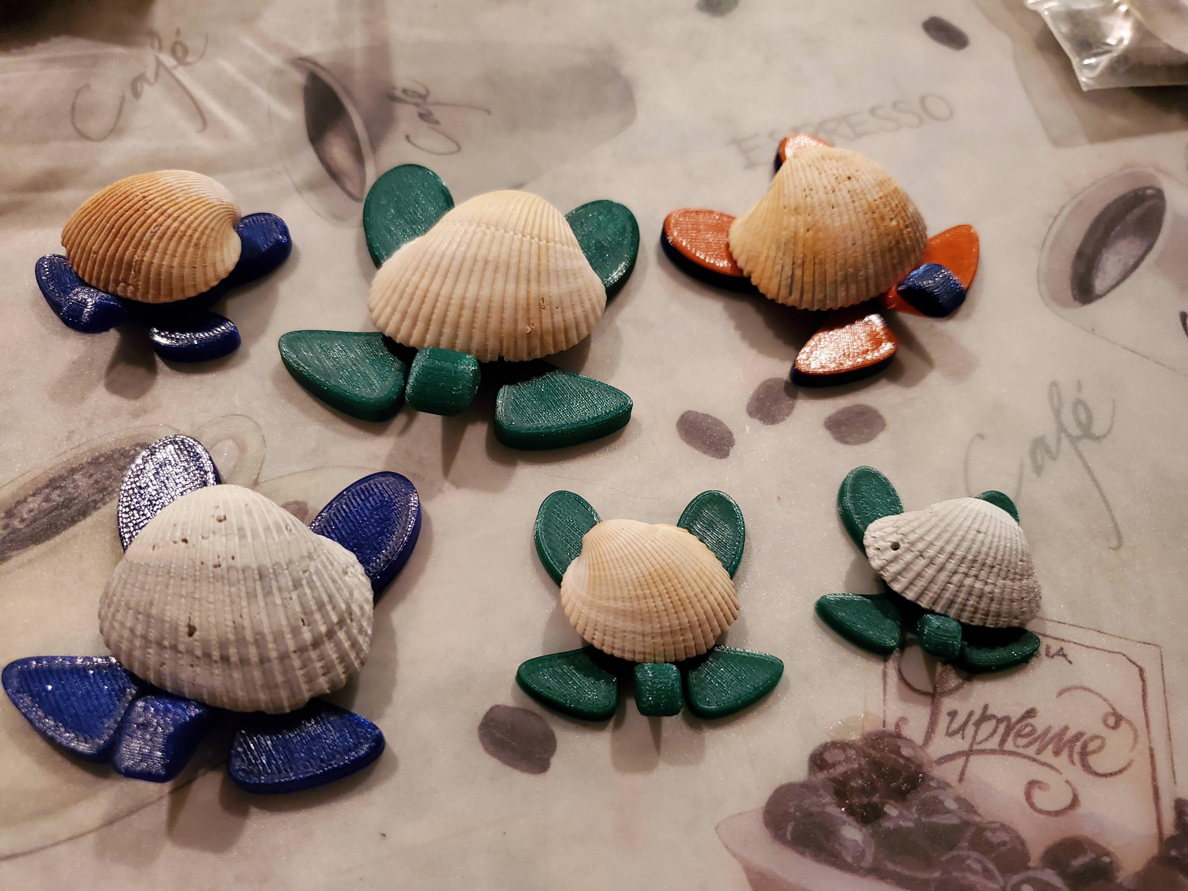 Sea Turtles